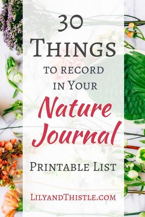 Nature Journal Cover, Nature Journal Kids, Nature Journal Prompts, Nature Journal Ideas, Diy Nature Journal, Botany Study, Book Nature, Journal Prompts For Kids, Homeschool Nature Study