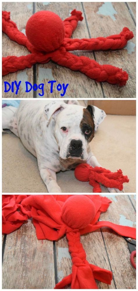 Diy Chat, Homemade Dog Toys, Kat Diy, Chat Diy, Diy Pet Toys, Diy Dog Toys, Positive Dog Training, Dog Projects, Dog Crafts