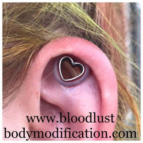 🕸True Image Tattoo🕸 on Instagram: “Fresh heart shape cartilage punch done by me and jewelry from @steve_haworth . #jaredgrafton #modifiedsickboy666 @steve_haworth #pittsburgh…” Image Tattoo, Heart Piercing, Body Modification, Body Modifications, Cartilage Piercing, Body Mods, Tattoo On, Heart Shape, Pittsburgh