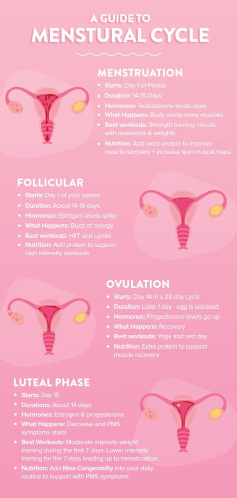 Wellness Infographic, Cycle Health, Menstrual Cycle Phases, Menstruation Cycle, Love Sweat Fitness, Period Cycle, Progesterone Levels, Healthy Hormones, Infographic Poster