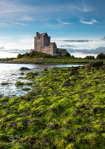 Dunguaire Castle, Co, Galway | Shane Turner Photography Tralee Co ... Dunguaire Castle, Iron Islands, Green Roots, Ireland Pictures, Irish Castles, Travel Ireland, Castles In Ireland, Landscape Inspiration, Ireland Landscape