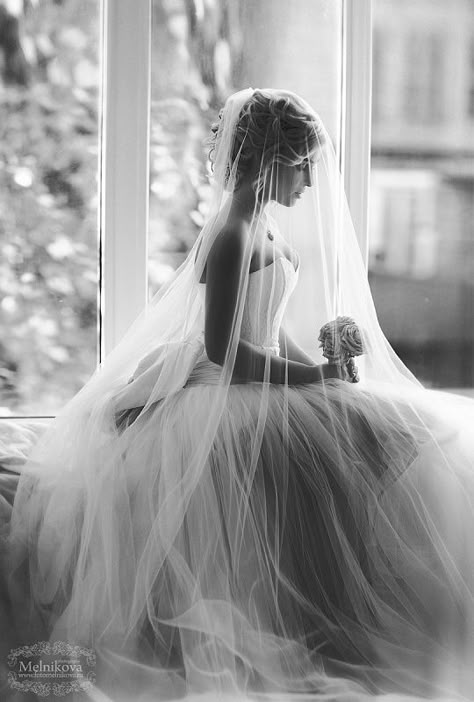 Ivory Bridal Veil, Tulle Wedding Veil, Wedding Portrait Poses, Wedding Picture Poses, Creative Wedding Photography, Wedding Photos Poses, Bride Photo, Bridal Shoot, Bridal Photography