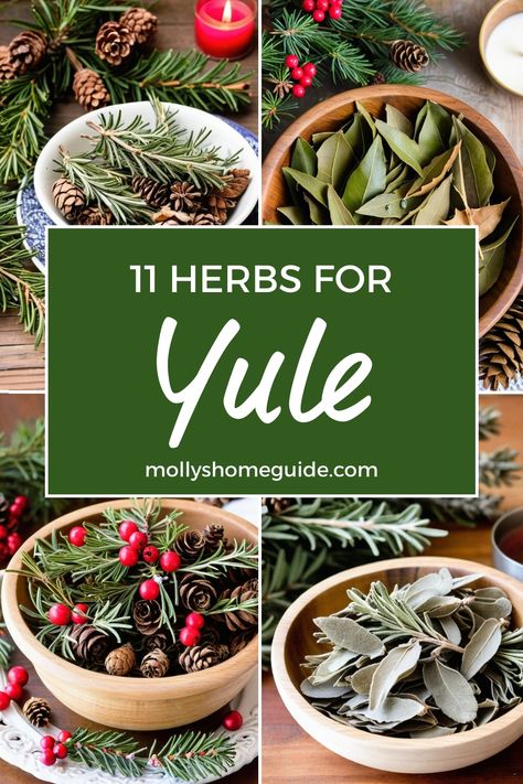 Discover the magic of Yule winter traditions with a selection of best herbs for protection. Dive into the enchanting world of Christmas and winter holiday herbs, explore the mystical properties of Pine and Rosemary. Create your own herbal tea blend or dream tea recipe using these powerful healing herbs. Embrace ancient Winter solstice rituals and tap into the wisdom of plant medicine with our guide to Herbs for Yule. Traditional Yule Food, Winter Solstice Herbs, Yule Traditions Winter Solstice, Traditional Yule Decorations, Yule Practices, Yule Party Ideas, Yule Crystals, Yule Recipes Pagan, Yuletide Food