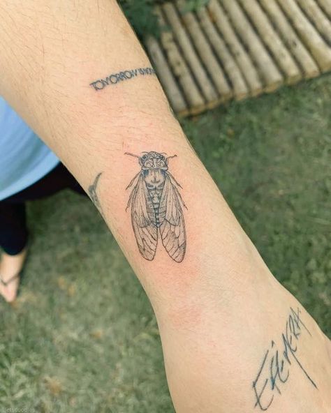 Rate This Tattoo ideas From ⭐1~10. SAVE & FOLLOW i will update everyweek. Cicadas Tattoo, Small Cicada Tattoo, Fine Line Bug Tattoo, Simple Cicada Tattoo, Cicada Tattoo Design, Cicada Aesthetic, Small Bug Tattoo, Bug Tattoos For Women, Bug Tattoo Design