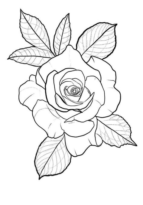 Tudor Rose Drawing, Flower Tattoo Stencils Outline Design, Rosa Tattoo Designs, Rose Flower Drawing Design, Rose Flash Tattoo, Rose Tattoo Stencil Outline, Out Line Drawing, Rose Stencil Tattoo, Flower Rose Tattoo