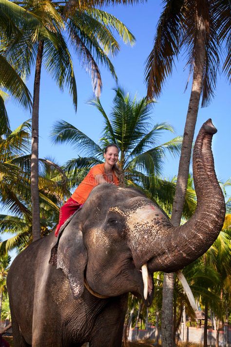 Woman riding elephant. Young beautiful woman riding on big elephant with trunk u , #affiliate, #Young, #beautiful, #woman, #Woman, #riding #ad Riding Elephants, Thailand Elephants, Elephant Ride, Biggest Elephant, Magnesium Glycinate, Elephant Sanctuary, Indian Elephant, Elephant Nursery, Stay Calm