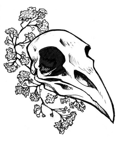 Animal Skull Drawing, Bird Skull Tattoo, Tumblr Drawings, Raven Skull, Bird Skull, Desenho Tattoo, Skull Drawing, Animal Skulls, Arte Horror