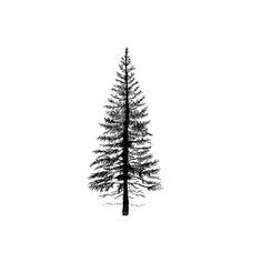 Tree Tattoo Meaning, Pine Tattoo, Wiccan Tattoos, Tattoo Tree, Pine Tree Tattoo, Tree Tattoos, Wiccan Symbols, Tattoo Zeichnungen, Forest Tattoos