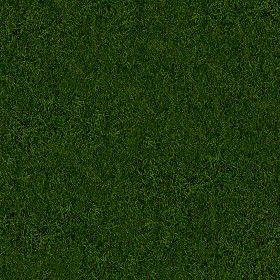 Textures Texture seamless | Green grass texture seamless 13025 | Textures - NATURE ELEMENTS - VEGETATION - Green grass | Sketchuptexture Dark Green Background Plain, Grass Texture Seamless, Ios 11 Wallpaper, Grass Texture, Green Grass Background, Dark Green Wallpaper, Grass Background, Grass Wallpaper, Dark Green Background