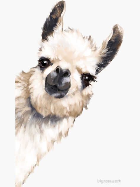 Lama Animal, Llama Pictures, Llama Painting, Llama Arts, White Framed Art, Nose Work, Big Nose, Arte Horror, Watercolor Animals