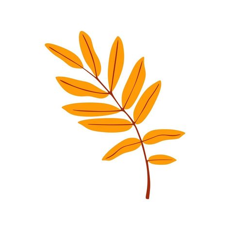 yellow orange leaves autumn. Vector illustration Autumn Leaf Illustration, Orange Clipart, Autumn Vector, Thanksgiving 2022, Orange Leaves, Leaf Illustration, Plant Vector, Leaves Autumn, Leaves Vector