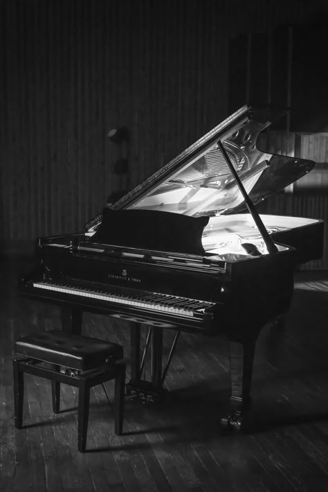 Black Grand Piano Aesthetic, Dark Piano Aesthetic Wallpaper, Metronome Aesthetic, Black Piano Aesthetic, Dark Piano Aesthetic, Black And White Piano, Piano Pictures, Piano Photo, Piano Forte