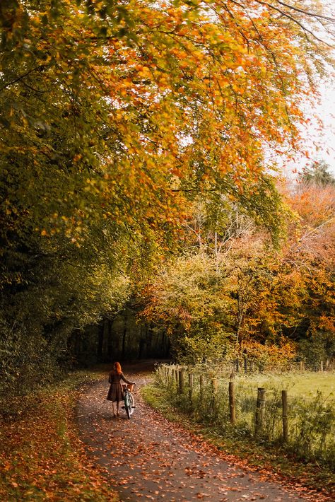 An Autumn Bike Ride - A Clothes Horse Fall Rustic Decor, Magical Autumn, Autumn Scenes, Autumn Scenery, Dirt Road, Fall Feels, Autumn Beauty, Cozy Vibes, Farmhouse Fall