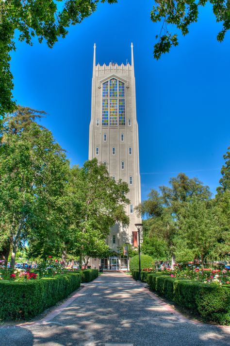 UOP Stockton, California Nostalgia Food, University Of The Pacific, Sweet California, Stockton California, City Postcard, College Days, Golden Bear, California Gold, Living In San Francisco