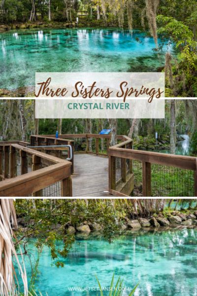 3 Sisters Springs Florida, Crystal River Manatees, Homosassa Springs Florida, Crystal River Florida Things To Do, Crystal Lake Florida, Crystal Springs Florida, Three Sisters Springs Florida, Southern Getaways, Florida Birthday