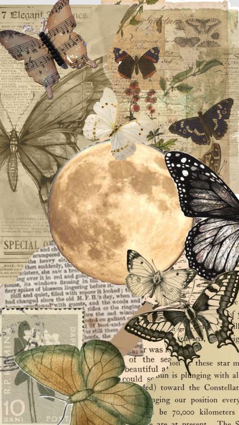 Checkout adeenaaa08's Shuffle Follow for follow #butterfly #book #fly #insect #vintage #beige #fall #autumn #gilmoregirls Fairy Acedamia, Tle Portfolio Design, Butterfly Wallpaper Aesthetic Vintage, Vintage Butterfly Aesthetic, Butterfly Aesthetic Vintage, Insects Aesthetic, Dark Academia Posters, Autumn Butterfly, Mushroom Butterfly