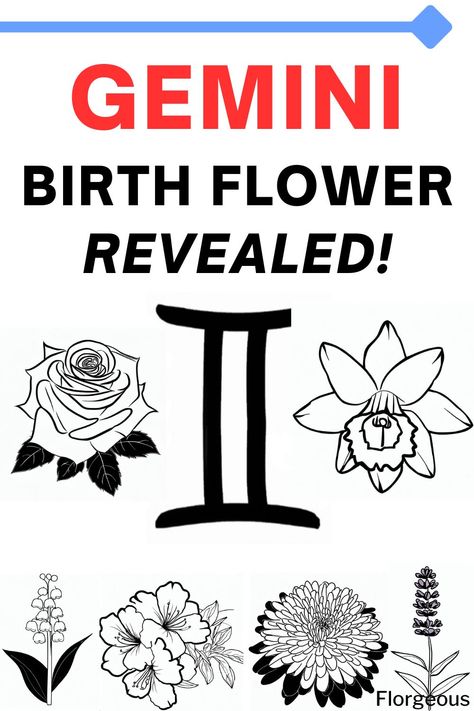 Gemini Birth Flower Gemini Birth Flower Tattoo, Gemini Flower Tattoo Birth Month, Gemini Rose Tattoo, Gemini Birth Flower, Gemini Flower Tattoo, June Magick, Gemini Flower, Lillies Tattoo, Gemini Symbol