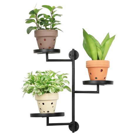 PRICES MAY VARY. 【Window Plant Shelves】: YFFSRJDJ 3-tier window plant shelves feature circular trays for three pots, sized between 4" to 6", The plant stands, crafted from wrought iron, are sturdy, with raised-rim bases to prevent pot falls, The indoor plant stand poles are one-piece, and no assembly is required 【Rotating Plant Stand Indoor】: Our window shelf for plants ingeniously incorporates a rotating design to maximize the exposure of plants to sunlight. This window plant shelf is perfect f Plant Shelves Indoor, Plant Stand Wall, Plant Window Sill, Window Plant Shelves, Window Shelf For Plants, Window Plant Shelf, Gifts For Plant Lovers, Wall Plant Holder, Metal Floating Shelves