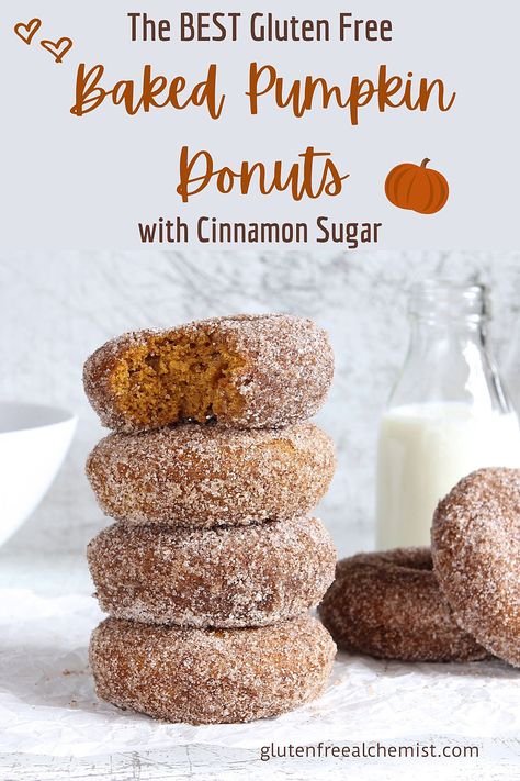 Perfect Gluten Free Pumpkin Donuts with crunchy Cinnamon Sugar. These baked ring Doughnuts are both #wheatfree and optional #dairyfree #glutenfree #donuts #doughnuts #baked #pumpkin #ringdonuts #cinnamon via @gfalchemist Paleo Pumpkin Donut Recipe, Pumpkin Donuts Gluten Free, Gf Baked Donut Recipe, Gluten Free Pumpkin Doughnut, Gluten Free Baked Pumpkin Donut Recipe, Gluten Free Cake Donuts Baked, Protein Pumpkin Donuts Baked, Gf Pumpkin Donuts Baked, Gluten Free Pumpkin Donuts Baked