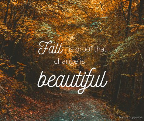 Fall Homescreen Wallpaper, Fall Season Pictures, Autumn Quotes Inspirational, Path In The Woods, Fall Homescreen, Change Is Beautiful, Earth Quotes, Fall Humor, Season Quotes