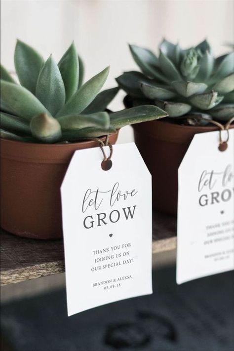 Plant Wedding Favors, Wedding Favor Tags Printable, Wedding Tokens, Succulent Wedding Favors, Let Love Grow, Creative Wedding Favors, Wedding Favors And Gifts, نباتات منزلية, Wedding Favors Cheap