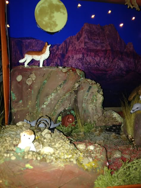 Shoebox Desert Diorama-  Wolf howling at the moon! 3rd grade school project Wolf Diaroma, Wolf Habitat Diorama, Diorama Book Report, Wolf Diorama, Biome Diorama, Wolf Habitat, Diaroma Ideas, 3rd Grade Spelling Words, Desert Crafts