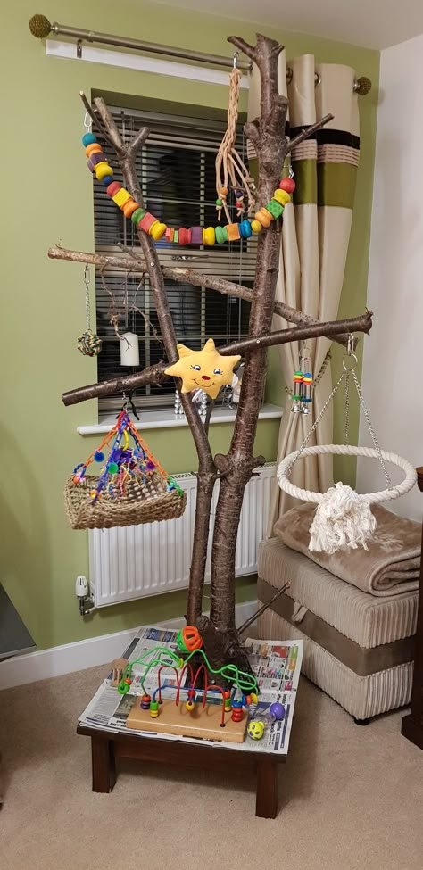 African Grey Play Stand Bird Stand Ideas, Diy Bird Play Stand, Parrot Play Area, Bird Play Stand, Parrot Play Stand Diy, Diy Bird Perch Stand, Diy Bird Stand, African Grey Parrot Cage Ideas, Diy Parrot Stand