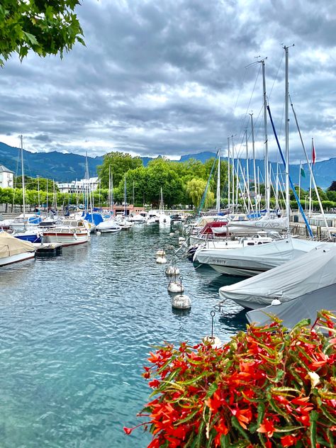 Traveling SWISS!  **************************** #ALPS  #VEVEY #SWITZERLAND 🇨🇭  •••••••••••••••••••••••••••• #trip #instagood #travel #follow #discovery #f4f #amazing #nice  #beauty #like4like #nature #photography #picoftheday #cute #photooftheday #passion #instatravel #insta #followme #agonipech #bestoftheday #wanderlust #instadaily #instalike #instapic #pic Vevey Switzerland, Switzerland Winter, Switzerland Trip, Vevey, Lake Geneva, Swiss Alps, Geneva, Switzerland, Nature Photography