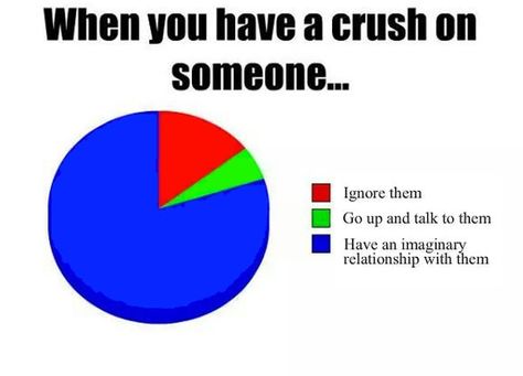 When you have crush on someone..  Have an  IMAGINARY  RELATIONSHIP  with  Her/Him. Lol Funny Pie Charts, Funny Crush Memes, Crush On Someone, Funny Charts, Crush Humor, Crushing On Someone, Crush Memes, A Crush, Crush Quotes