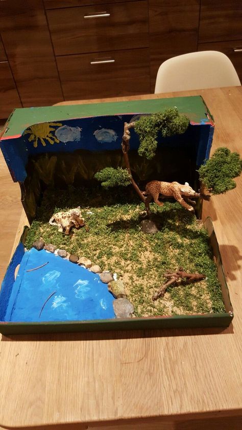 Desert Biome Box Biomes Project, Rainforest Project, Tiger Habitat, Diorama Kids, Bear Habitat, Desert Biome, Grassland Habitat, Habitats Projects, Rainforest Habitat