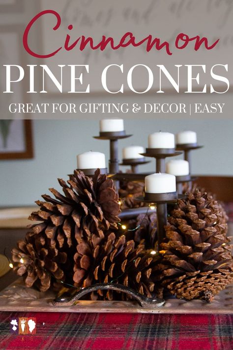 Nothing smells quite like the holidays than the warm scent of cinnamon. And if you've been to a home decor store lately, then chances are you've seen cinnamon scented pine cones or brooms. These take Scented Pine Cones, Cinnamon Broom, Cinnamon Smell, Diy Cinnamon, Scented Pinecones, Cinnamon Bark Essential Oil, Mini Pine Cones, Dried Orange Peel, Pine Cone Art