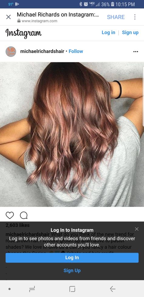 Dark Rose Gold Hair, Rose Brown Hair, Rose Gold Hair Brunette, People Finder, People Search, Search People, Bright Blonde, Dark Rose, Rosé Brown