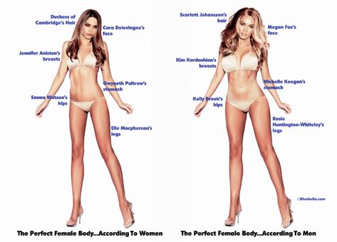 http://time.com/65901/how-men-and-women-differ-when-drawing-up-the-perfect-body/?iid=obinsite Kelly Brooks, Corp Perfect, Corps Idéal, Меган Фокс, Celebrity Bodies, Men Vs Women, Robert Kardashian, Corps Parfait, Fox Face