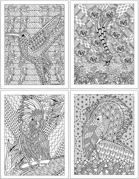 Bird Coloring, Coloring Pages For Grown Ups, Owl Coloring Pages, Valentines Day Coloring Page, Spring Coloring Pages, Valentines Day Coloring, Bird Coloring Pages, Detailed Coloring Pages, Mermaid Coloring Pages