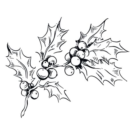 Mistletoe Drawing, Leaves Black And White, Christmas Sketch, Christmas Tattoo, Create Christmas Cards, Illustration Botanique, Holly Leaves, White Illustration, Coloring Apps