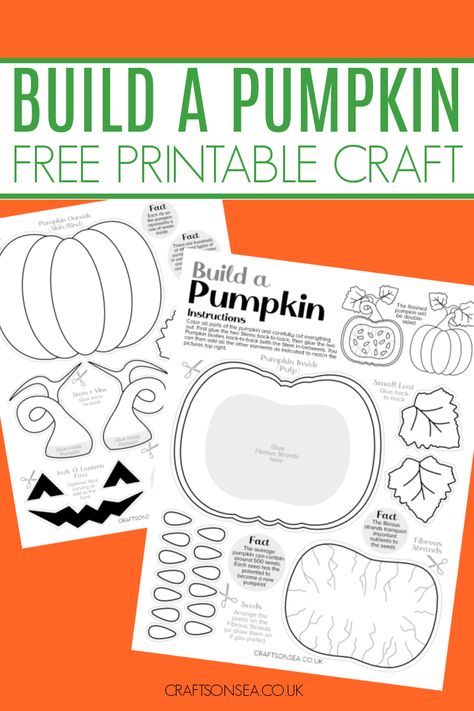 Build A Pumpkin Printable (FREE PDF) Peter Peter Pumpkin Eater Craft, Life Cycle Of A Pumpkin Craft, Parts Of A Pumpkin Craft, Inside A Pumpkin Craft, Life Cycle Of A Pumpkin Free Printable, Pumpkin Printables Free, Free Pumpkin Printables, Fall Free Printables, Eater Crafts