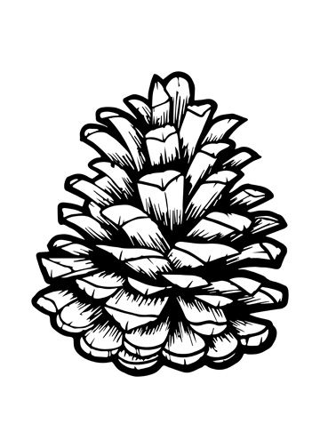 Pine Cone Tattoo One Line, Pinecone Line Drawing, Pinecone Coloring Page, Easy Pinecone Drawing, Pinecone Drawing, Pinecone Tattoo, Pine Cone Drawing, Pine Tattoo, Wood Burning Patterns Stencil