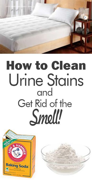 Tips and tricks to get rid of urine stains and the lingering smell for good! Clean Hacks, Pee Smell, Cleaning Painted Walls, Urine Stains, Glass Cooktop, Deep Cleaning Tips, Utila, Clean Dishwasher, Toilet Cleaning