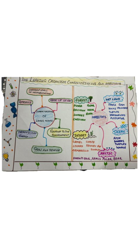 Science mind map Science Mind Map, Fennec Fox, Snowy Owl, Mind Map, Polar Bear, Deer, Science, Map, Quick Saves