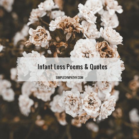 Stillbirth Memorial, Baby Poems, Sympathy Poems, Words Of Sympathy, Infant Loss Memorial, Losing A Baby, Sympathy Messages, Infant Loss Awareness, Comfort Quotes