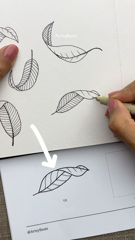 Learn to draw curved leaves 🍃 🚀 Step-by-step guide to draw leaves in different perspective is now available for download at my online… | Instagram Different Leaf Drawings, Drawing Leaves Easy, Botanical Line Drawing Step By Step, Drawing Leaves Step By Step, Grape Leaves Drawing, How To Draw Leaves, Falling Leaves Drawing, Flat Florals, Leaf Drawing Easy