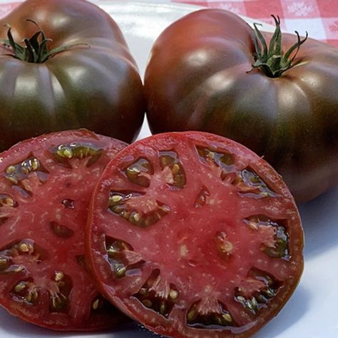 Paul Robeson Tomato, Paul Robeson, Cattle Panels, Raised Garden Bed Plans, 2024 Kitchen, Beefsteak Tomato, Raised Planter, Lavender Plant, Tomato Seeds