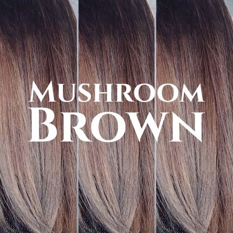 10 cool & stunning mushroom brown hair colouring ideas you will love | Top Leading Hair Salon in Singapore and Orchard | Chez Vous Hair Colouring Ideas, Cool Hair Ideas, Mushroom Brown Hair Color, Light Brown Hair Shades, Mushroom Brown Hair, Brown Hair Cuts, Pale Skin Hair Color, Colouring Ideas, Mushroom Hair