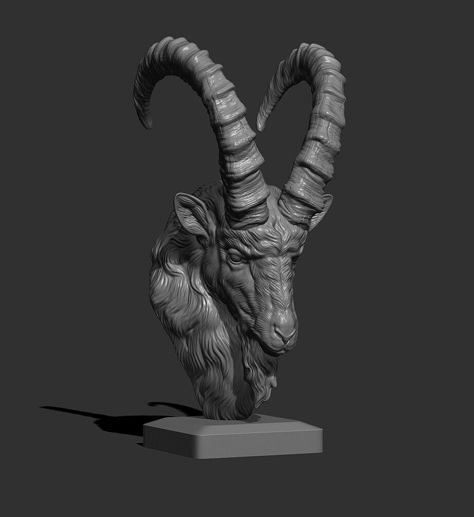 ArtStation - Ibex goat head, Nik Gun Goat Head Reference, Ibex Goat, Head Proportions, Goat Head, Goat Horns, Animal Reference, Face Reference, Tattoo Art Drawings, Celtic Art