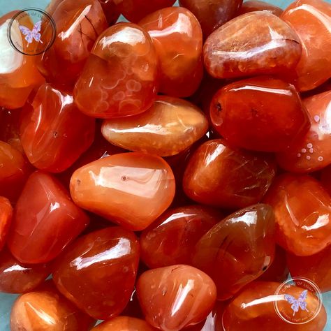 Carnelian Healing Properties | Carnelian Meaning | Benefits Of Carnelian | Metaphysical Properties Of Carnelian | Charms Of Light - Healing Zodiac Stones, Carnelian Bracelet, Carnelian Jewelry, Carnelian Crystal, Crystals Healing Properties, Carnelian Pendant, Orange Crystals, Carnelian Stone, Body Drawing