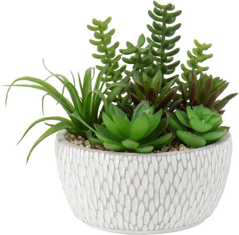 Briful Fake Plants Artificial Succulent Plants Fake Succulent Potting Mix, Decorative Artificial Plants Succulent Arrangement in Cement Pot for Home Office Bathroom Shelf Decor Succulents In Pots, Fake Potted Plants, Succulent Potting Mix, Desk Plants, Fake Plants Decor, Fake Succulents, Succulents Plants, Succulents Decor, Table Office