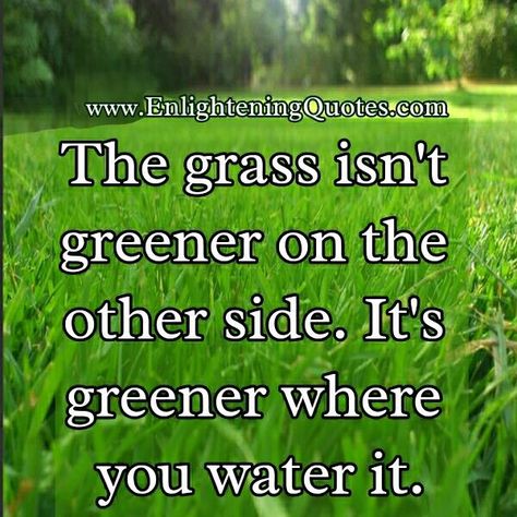 The #grass is greener where you make it instead of looking over the #fence take #care of your own side and make it the greenest ever. ~ #MargaretMurray Creation Quotes, Inspirational Writing, The Grass Is Greener, Grass Is Greener, Facebook Quotes, Better Alone, Life Lesson, The Fence, Poem Quotes