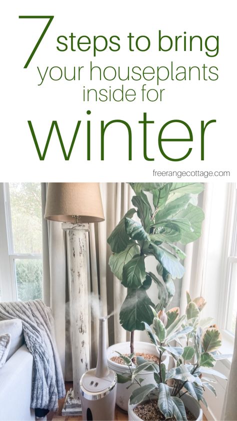 Winter Indoor Plant Setup, How To Bring Plants Inside For Winter, Moving Plants Indoors For Winter, Bringing Plants Inside For Winter, Moving Plants, Indoor Planting, Indoor Plants Styling, Outside Plants, Plant Saucer