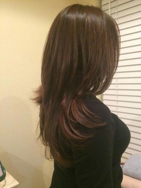 V Cut Hair, Hair Inspiration Long, Layered Haircuts For Medium Hair, Extension Hair, Hairstyles For Layered Hair, Haircut Inspiration, Hair Stylies, Haircuts For Medium Hair, Haircuts Straight Hair