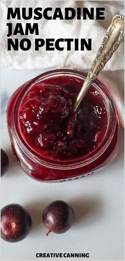 Learn how to make muscadine jam no pectin required! This homemade jam is a great way to use muscadine grapes in season, providing a delicious spread that's also rich in health benefits. Ideal for canning enthusiasts. Find more muscadine grape recipes, homemade grape jam from grapes, preserving muscadines, and Canning Fruit Recipes at creativecanning.com. Muscadine Jam, Fruit Preserves Recipe, Muscadine Recipe, Canning Fruit Recipes, Grape Jam Recipe, Muscadine Jelly, Muscadine Grapes, Pectin Recipes, Canning Jam Recipes